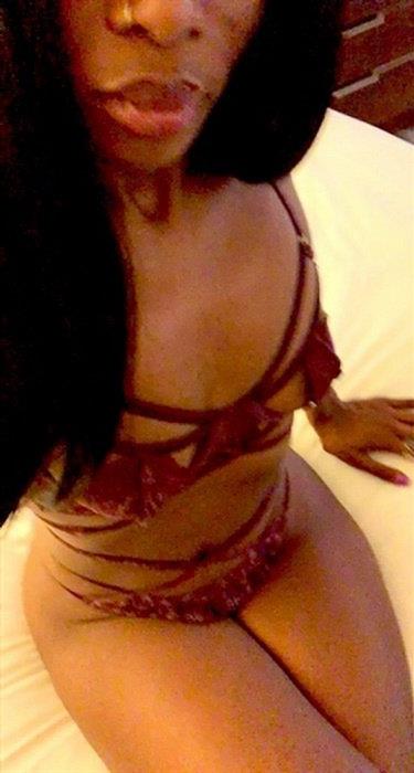 Escort Ros Alice,Gallarate a sultry doll who needs your attention