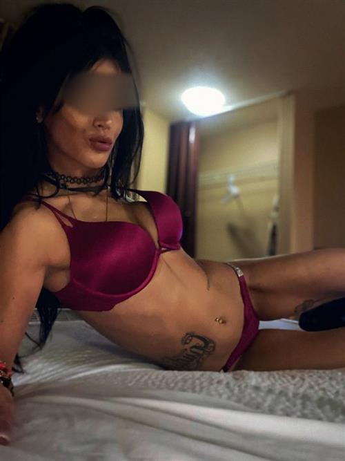 Happy and satisfied escort Tristian Bologna